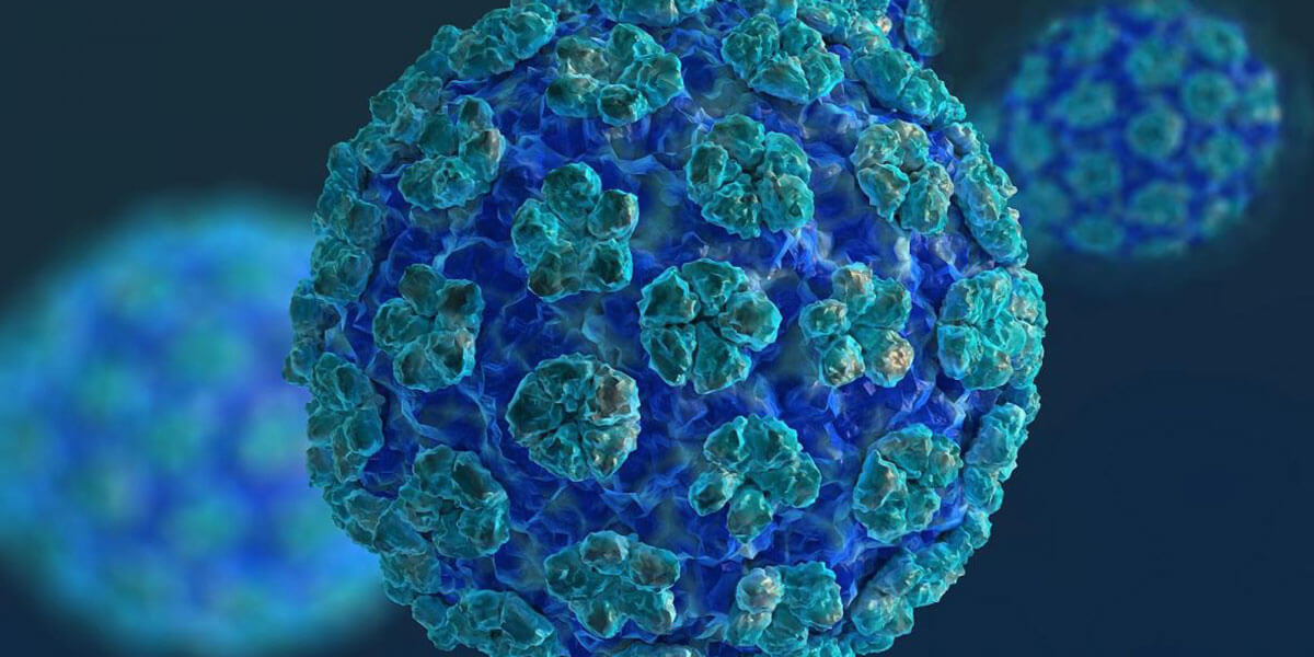 hpv nedir zararlar